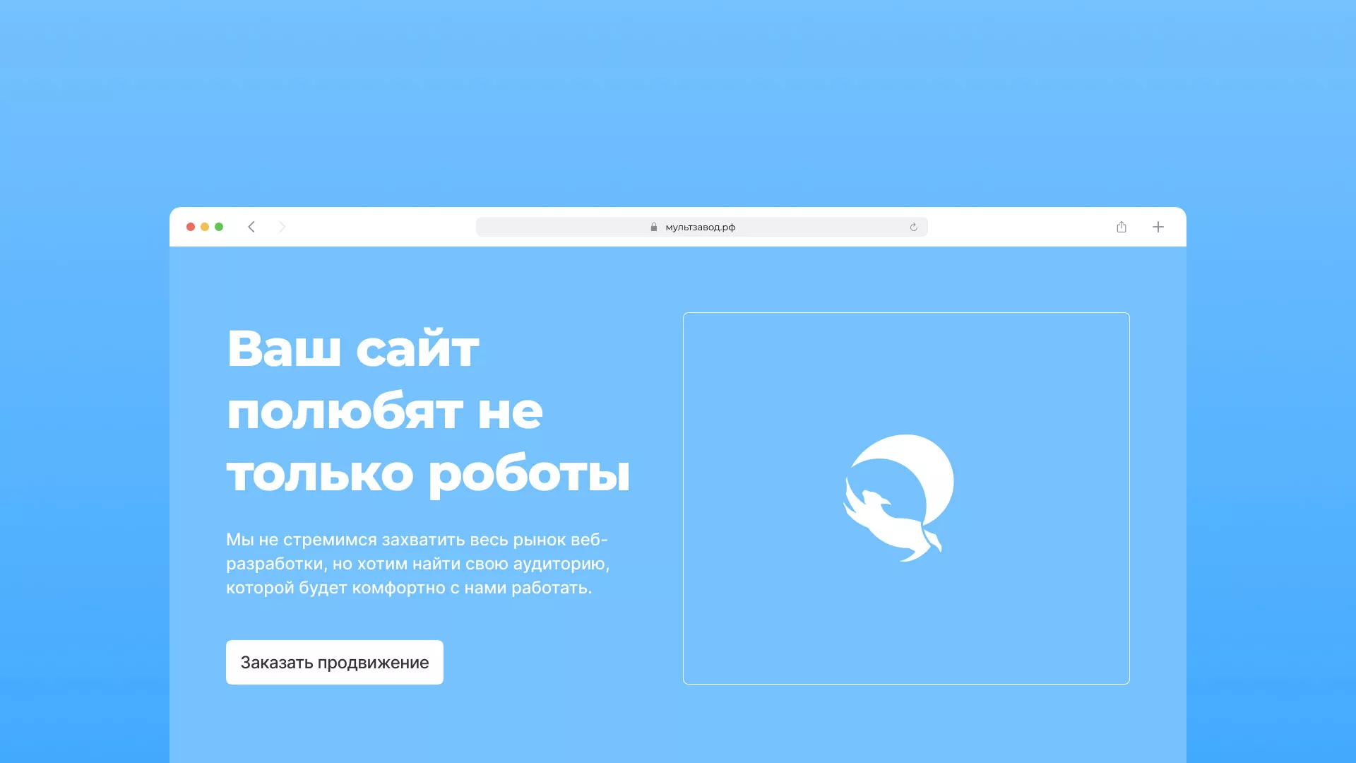 Продвижение сайтов в Шенкурске