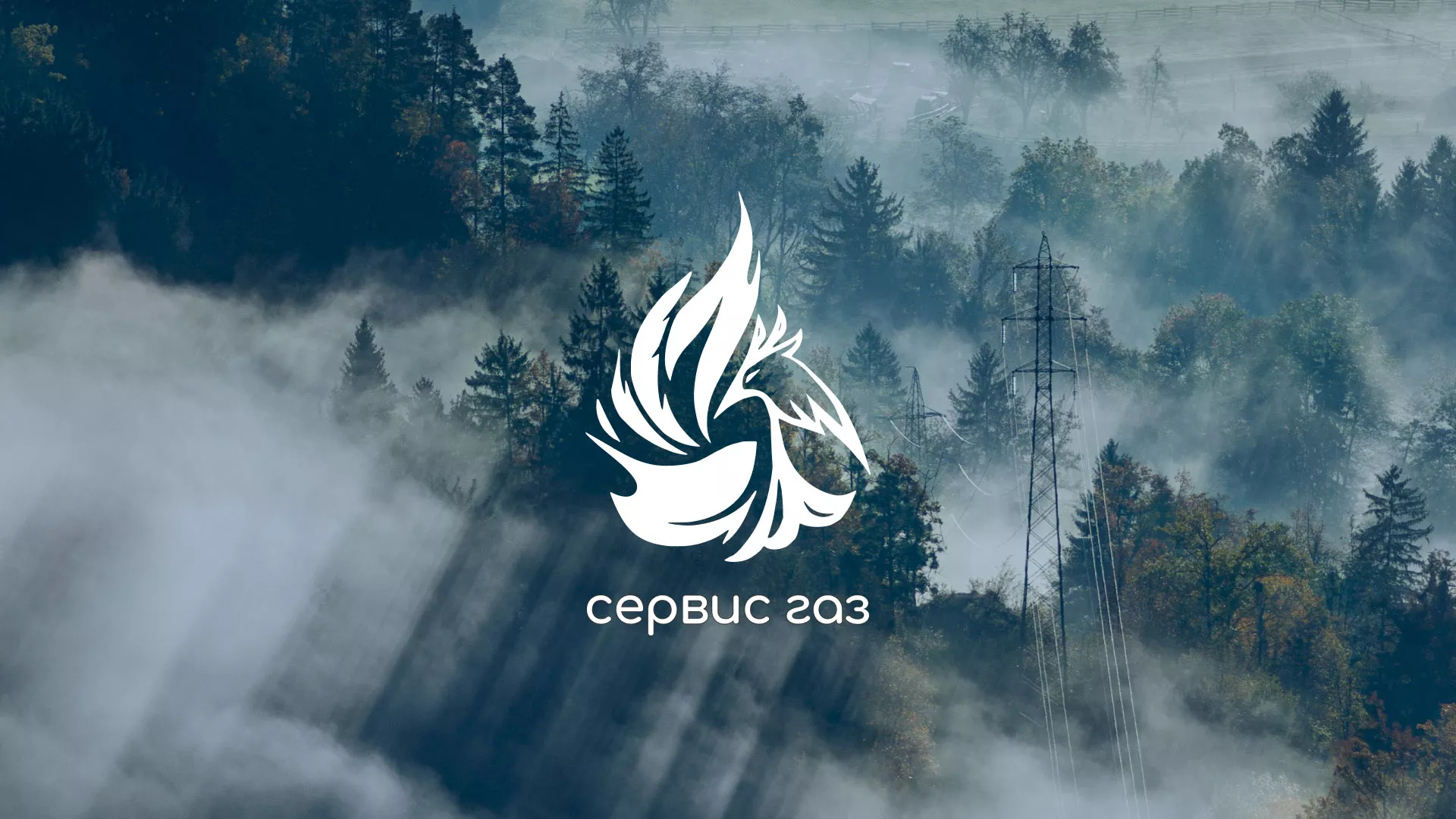 Создание сайта компании «Сервис газ» в Шенкурске