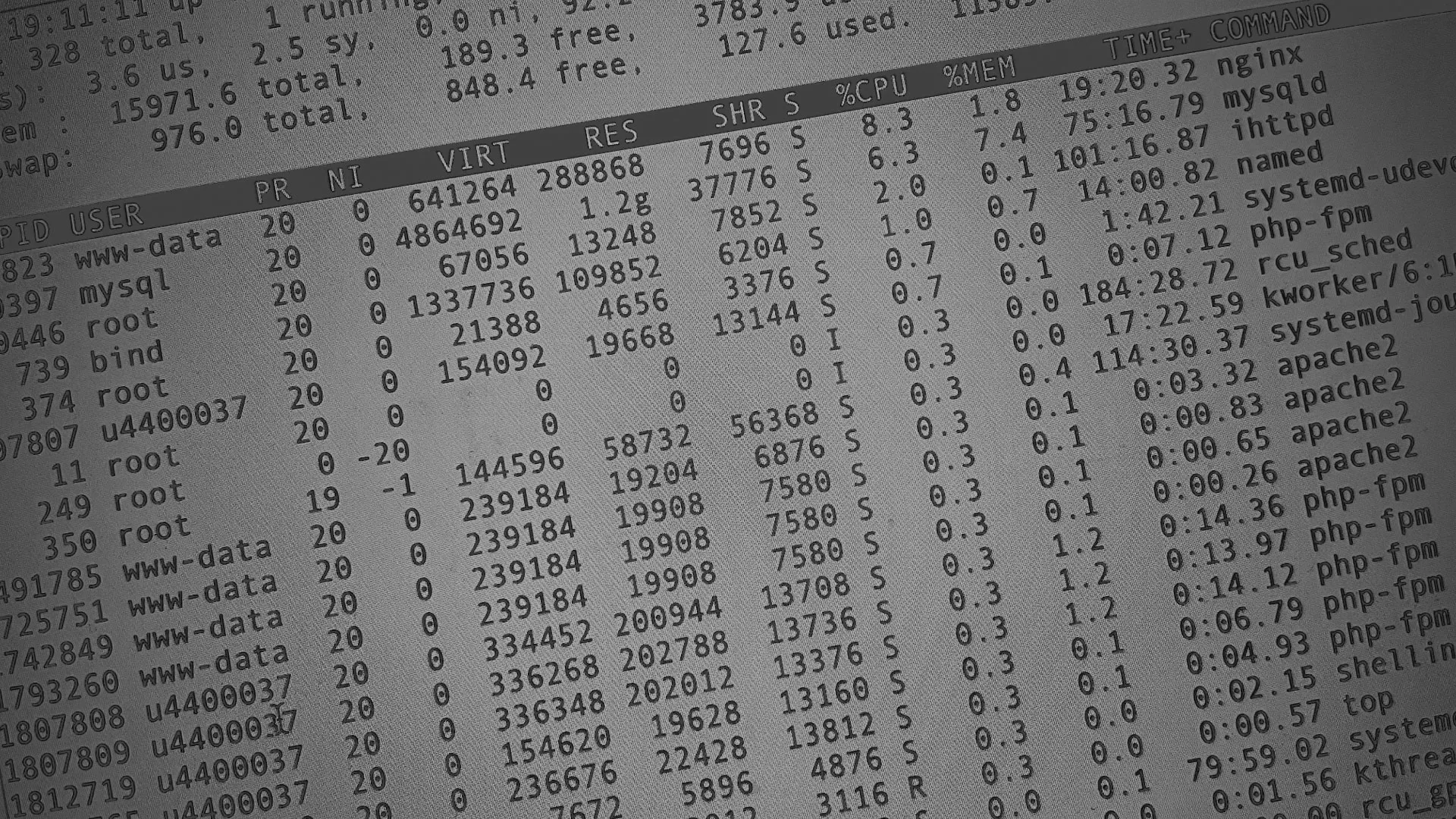 Настройка сервера в Шенкурске