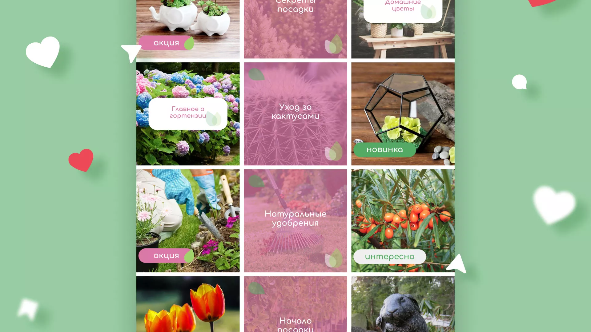 Разработка оформления профиля Instagram для магазина «Floraint» в Шенкурске