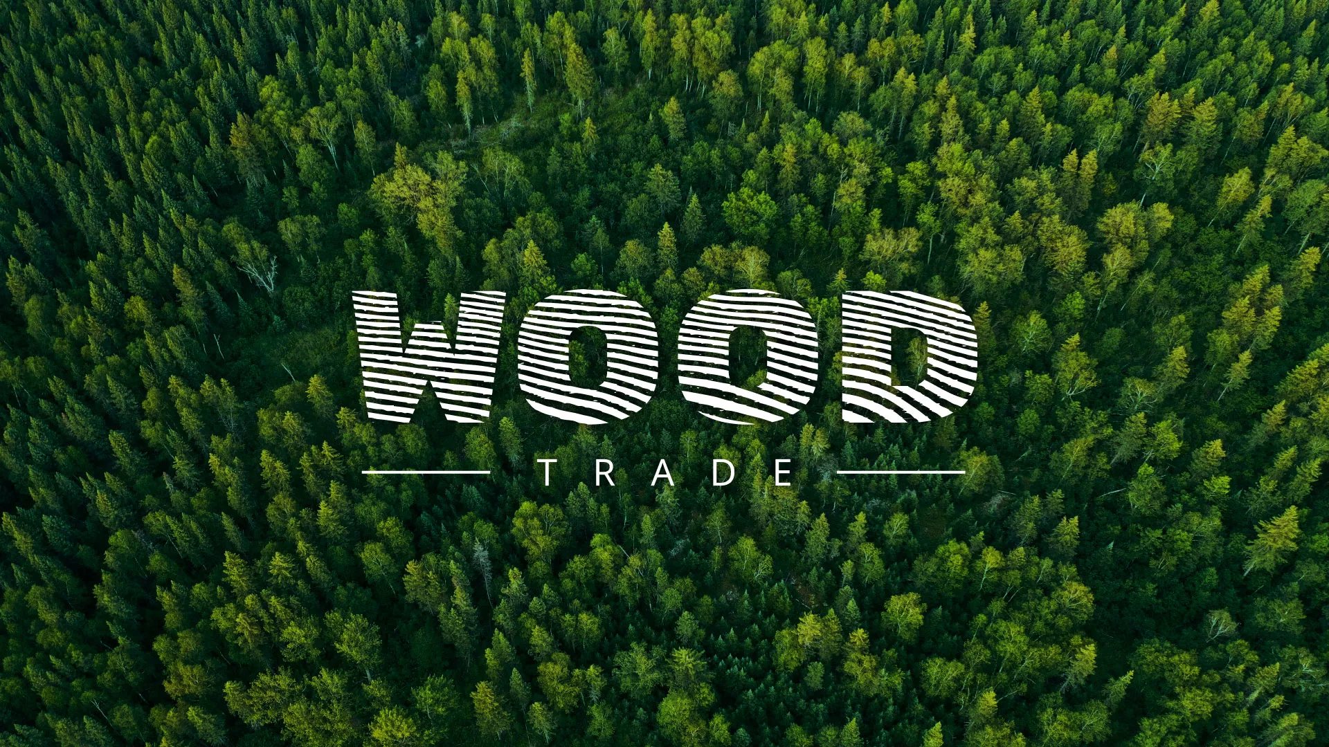 Разработка интернет-магазина компании «Wood Trade» в Шенкурске