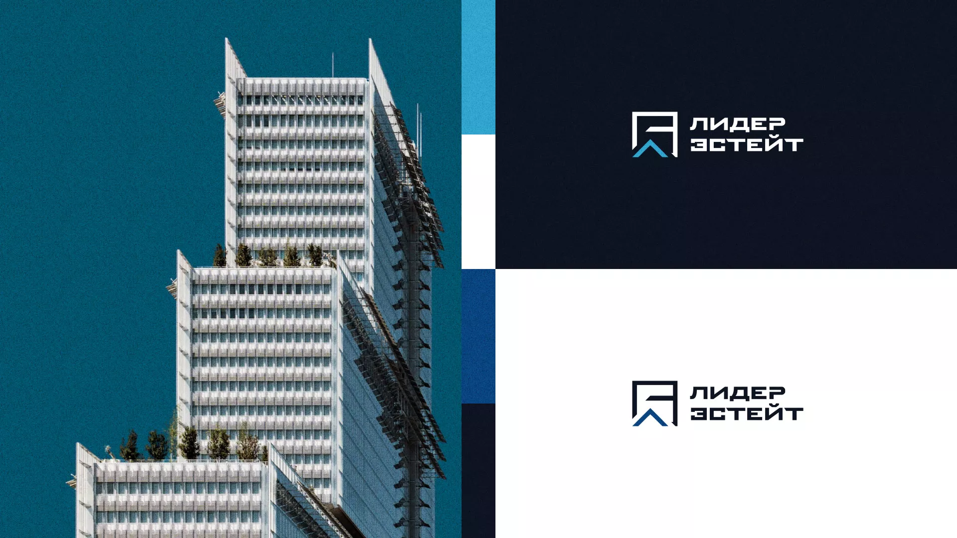 Разработка логотипа агентства недвижимости «Лидер Эстейт» в Шенкурске