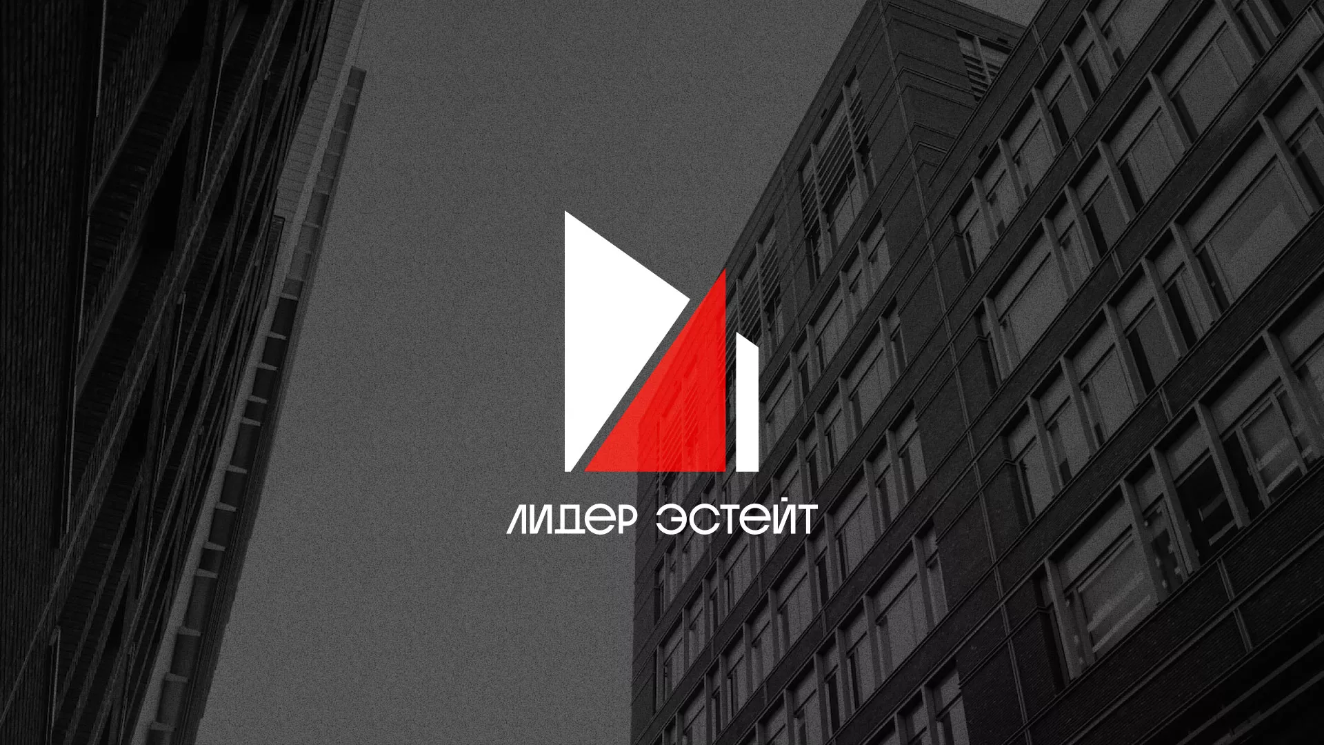 Сделали логотип для агентства недвижимости «Лидер Эстейт» в Шенкурске