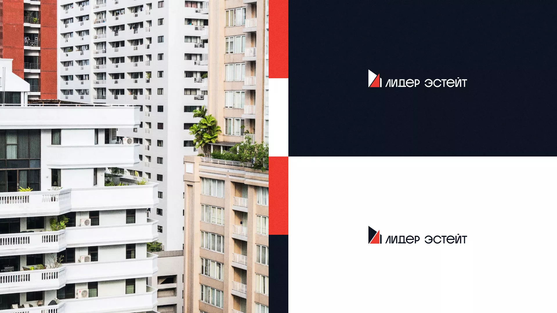 Сделали логотип для агентства недвижимости «Лидер Эстейт» в Шенкурске